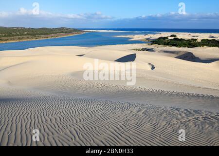 Sand dunes on the Sundays River, Alexandria Dune Fields, Eastern Cape, South Africa Stock Photo