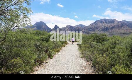 The Chisos Mountains, viewed here from The Sam Nail Ranch Trail on Big Bend National Park in Texas, are of Volcanic origin Stock Photo