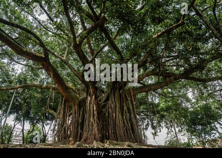 Parque San Antonio en Cali Colombia Fotografía de stock - Alamy