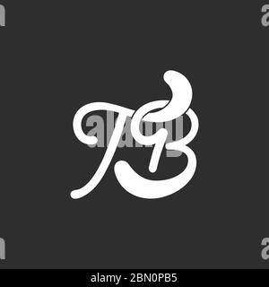 letter tb linked curves design logo vector Stock Vector