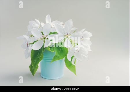 bouquet of white fresh lush spring pear flowers with large green leaves in a blue metal bucket. simple decor for a cozy place. air purification by pla Stock Photo