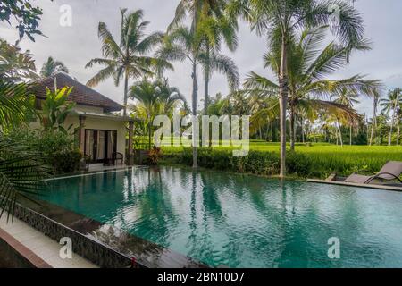 Pool view in Bali, Indonesia outside with green trees and blue skies Stock Photo