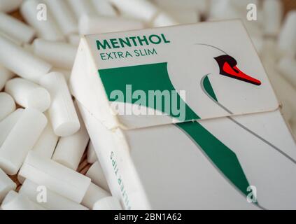 Box of Swan Menthol Filter Tips for hand rolled cigarettes, A ban on menthol cigarettes comes into force in May 2020 Stock Photo