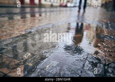 Rain in city. Close-up view of puddle on city street and reflection of man with umbrella. Gloomy day in Prague, Czech Republic. Stock Photo