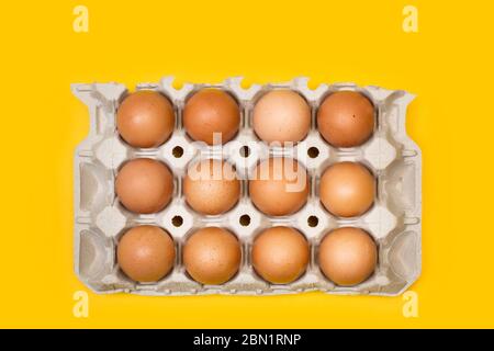 Brown eggs in a cardboard egg cup on a yellow background Stock Photo