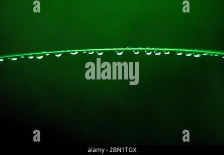 Green wire with waterdrops on green background Stock Photo