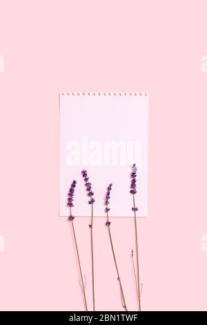 Greeting card with sprigs of lavender on pink background and a sheet of paper painted with watercolors. Vertical postcard. Stock Photo