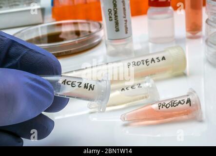 Several vials with soluble protease proteins for activation of the coronavirus severe acute respiratory syndrome (SARS) trypsin-like protein in human Stock Photo