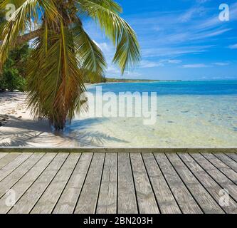 Empty wooden platform beside tropical beach at Punta Cana, Dominican Republic. Inclined palm tree on wild coast of Sargasso sea in the background Stock Photo
