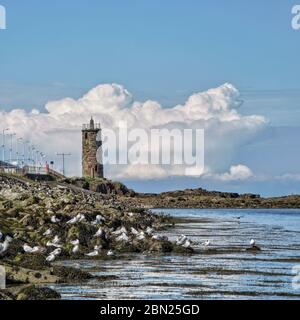 Stone built tower on the seashore with seabirds on the rocks in front of it under a blue and cloudy day Stock Photo