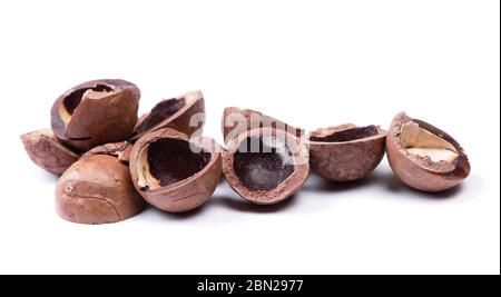 Heap of empty macadamia nut shell isolated on white background Stock Photo