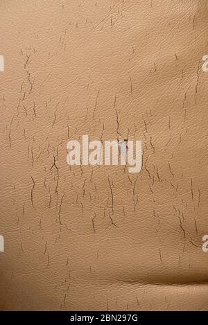 Cracked beige leather texture. Background in bad condition. Stock Photo