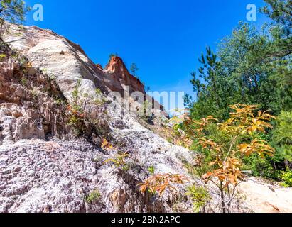 A bit of Spring color in the plants along the canyon floor Stock Photo