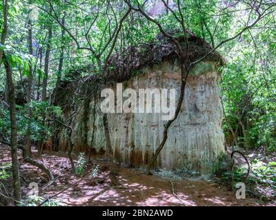 Unusual rock formation in a wooded area along the canyon floor at Providence canyon Stock Photo