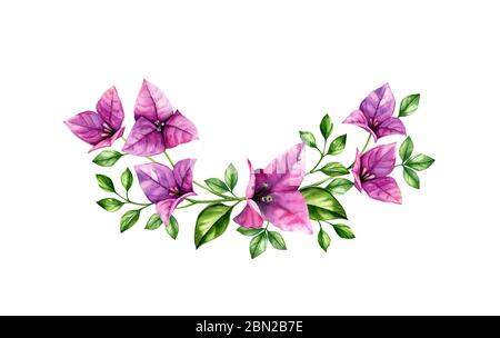 Watercolor tropical bouquet. Violet bougainvillea branches in wreath arrangement. Hand painted tropical background. Botanical illustrations isolated Stock Photo