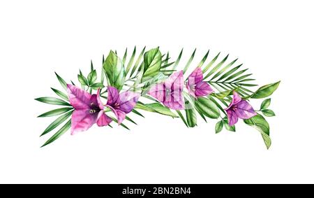 Watercolor tropical arch. Pink bougainvillea flowers, palm and citrus leaves. Hand painted floral background. Botanical illustrations isolated on Stock Photo