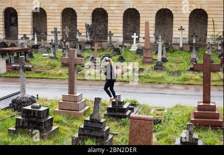 Jogger in Brompton Cemetery, Old Brompton Road, Kensington, London; one of the Magnificent Seven cemeteries Stock Photo