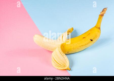 Ugly yellow banana with black spots on a pink and blue background close-up Stock Photo