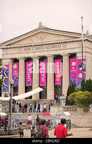 Shedd Aquarium in Chicago Illinois Stock Photo