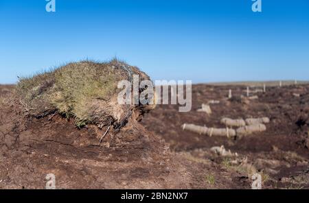 Peat bog restoration program on moorland on Fleet Moss, using coconut fibre to slow the erosion of peat. North Yorkshire, UK. Stock Photo