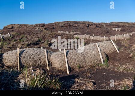 Peat bog restoration program on moorland on Fleet Moss, using coconut fibre to slow the erosion of peat. North Yorkshire, UK. Stock Photo