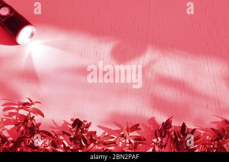 Lantern and ray of light in the dark on a wooden surface with twigs of myrtle plant. Surface with copy space. Stock Photo
