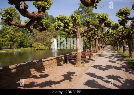 the Ludwig-Rehbock park in the district of Opladen, Leverkusen, North Rhine-Westphalia, Germany.   die Ludwig-Rehbock-Anlage im Stadtteil Opladen, Lev Stock Photo