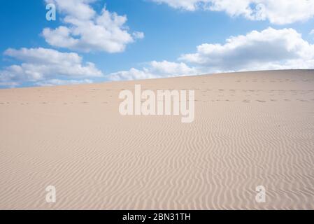 Golden sand in dune, background of sand in the desert Stock Photo