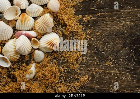 Different seashells and sand on wooden surface Stock Photo