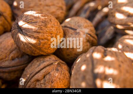 Walnuts in the basket lit by the sun. Stock Photo
