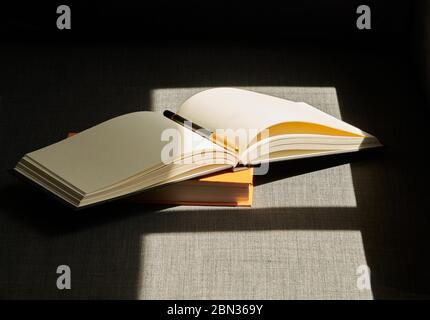 Old Empty Book Ready For Writing Stock Photo, Picture and Royalty Free  Image. Image 13111261.