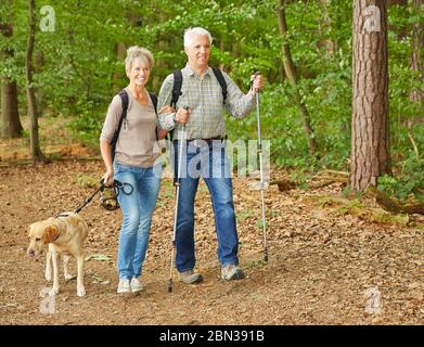 Smiling senior couple doing Nordic walking with dog in forest Stock Photo