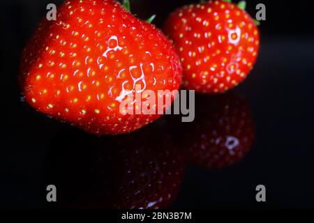 Macro close up of two isolated strawberries on black reflecting glass plate illuminated by studio light Stock Photo