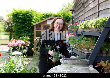 Dorney, Buckinghamshire, UK. 12th May, 2020. Staff at the Crocus Garden Centre at Dorney Court prepare to reopen tomorrow 13th May 2020 following their temporary closure during the Coronavirus Covid-19 Pandemic lockdown. Crocus is in the grounds of the historic Dorney Court Tudor Manor House which has been used in many film locations. Credit: Maureen McLean/Alamy Live News Stock Photo