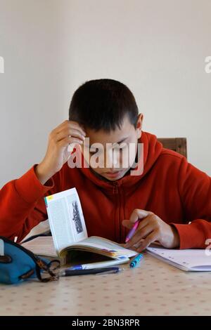 14-year-old schoolboy doing homework in Montrouge, France. Stock Photo