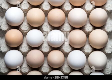 Chicken eggs in organic packaging closeup. Healthy eating background. Food photography Stock Photo