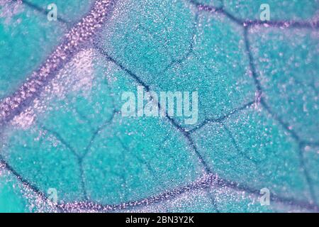 Green Under Microscope juicy green plant cells under the microscope Stock Photo - Alamy