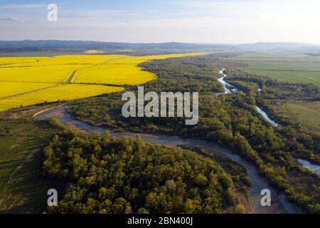 Flight through majestic river Dnister, lush green forest and blooming yellow rapeseed fields at sunset time. Ukraine, Europe. Landscape photography Stock Photo