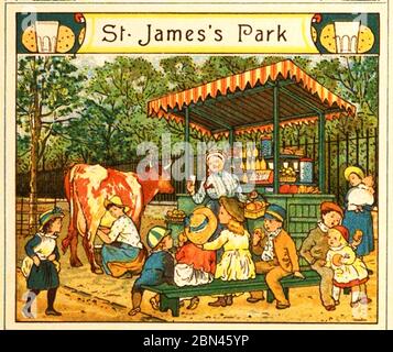 Dairy Industry in Britain - A dairy farmer selling milk direct to the public  from cows in St James's Park, London in a park during the early 1800's. This was a common practice when milk could not be delivered, instead farmers would bring their goats and cows top the public in market squares and parks throughout Britain. Stock Photo