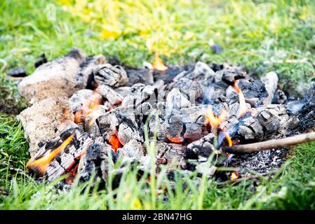burning coal from a fire on green grass Stock Photo