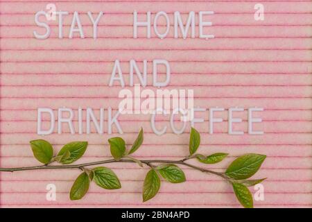 Lettreing booard with quote stay home and drink coffee decorated with spring branch with green fresh leaves. Spring motivation background Stock Photo