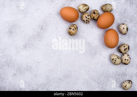 Chicken and quail eggs on grey table Stock Photo