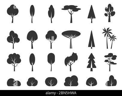 Glyph tree and bush, silhouette icon set. Graphic black template plant forest, park, garden, simple sign. Collection different shape birch, fir, palm, symbol. Isolated on white vector illustration Stock Vector