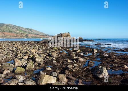 Three cormorants perch on top of a large rock outcrop during low tide at Leo Carrillo State beach, Malibu, California. Stock Photo