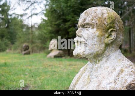 A white, stone, marble bust sculpture of Lenin with more Lenins in the background. At Gruto Parkas near Druskininkai, Lithuania. Stock Photo