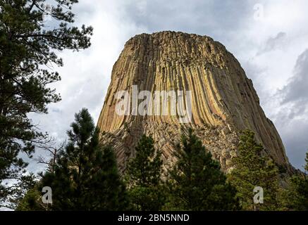 WY04250-00...WYOMING - Devil's Tower from the Tower Trail in Devil's Tower National Monument. Stock Photo