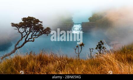 The cool foggy climate on Horton plains water stream Stock Photo