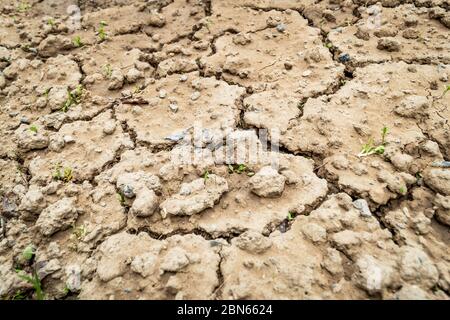 Cracks in dry soil due to lack of rainfall. Barren soil with cracks Stock Photo