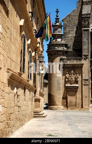 Ornamental detail on the The Sacred Chapel of El Salvador (Capilla del Salvador) in the Plaza de Vazquez de Molina with the Parador to the left, Ubeda Stock Photo