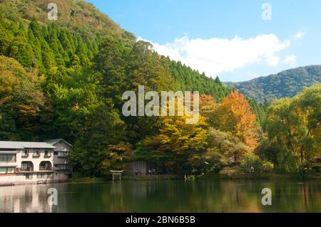 Japan: Autumn leaves at Kinrin Lake, Yufuin, Oita District, Kyushu.  Yufuin is a hot-spring spa town located beneath the spectacular Mount Yufu or Yuf Stock Photo